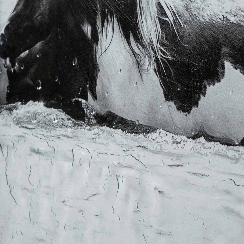 Water Horses III Wall Art - detail showing textured glass frame