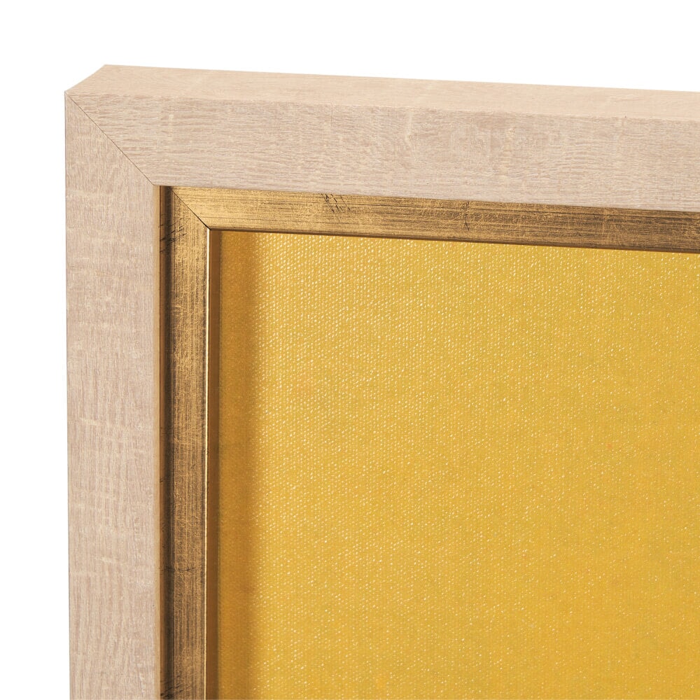 Pop Birds I Framed Wall Art - detail view of frame