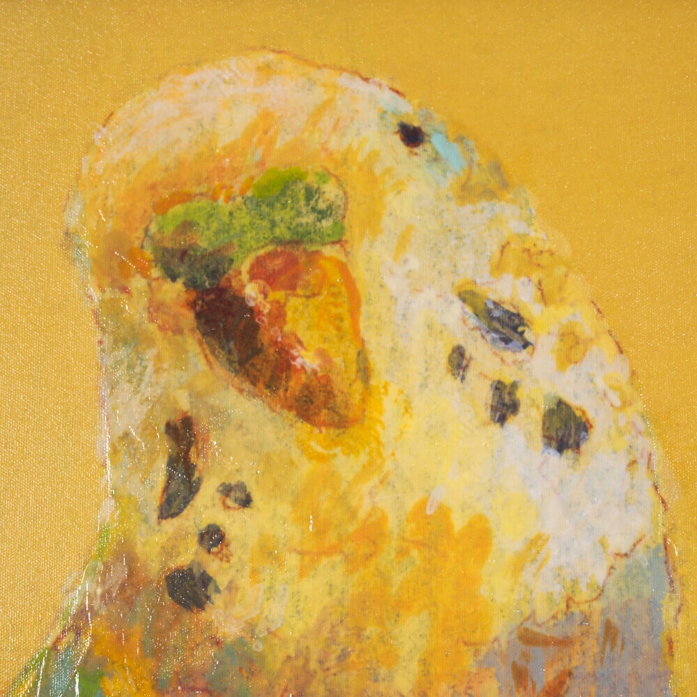 Pop Birds I Framed Wall Art - detail view of art