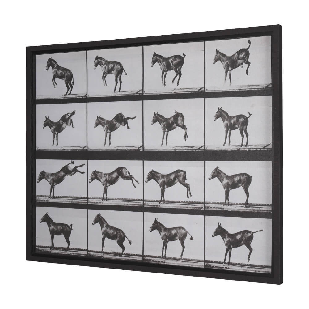 Bucking and Kicking Wall Art - shop large scale wall art at City Home