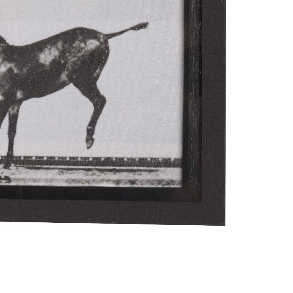 Bucking and Kicking Wall Art - detail view of frame