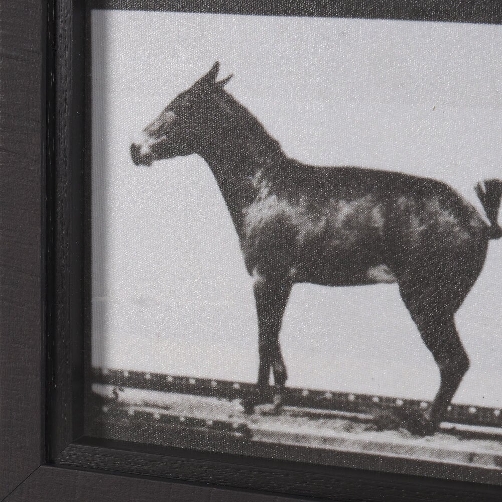 Bucking and Kicking Wall Art - detail view