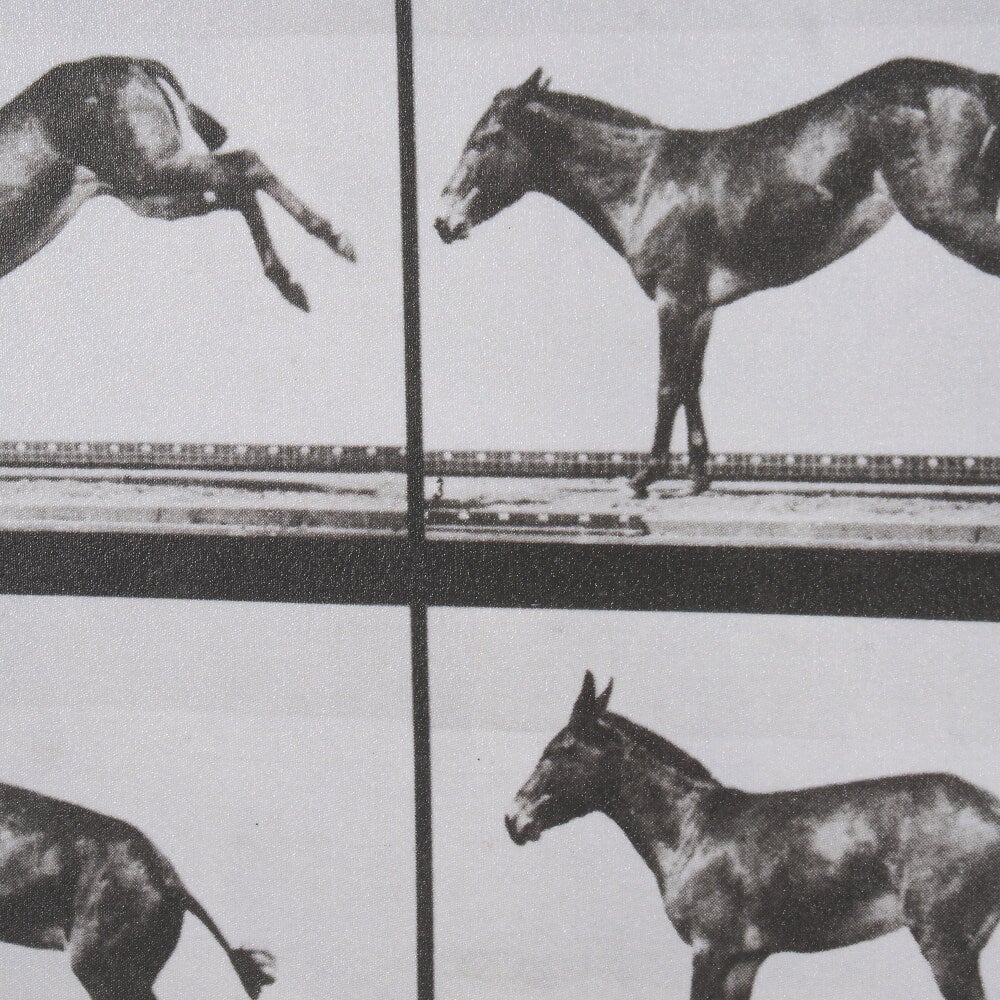 Bucking and Kicking Wall Art - detail view