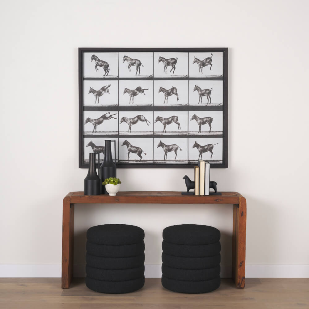 Bucking and Kicking Wall Art - styled with a narrow table