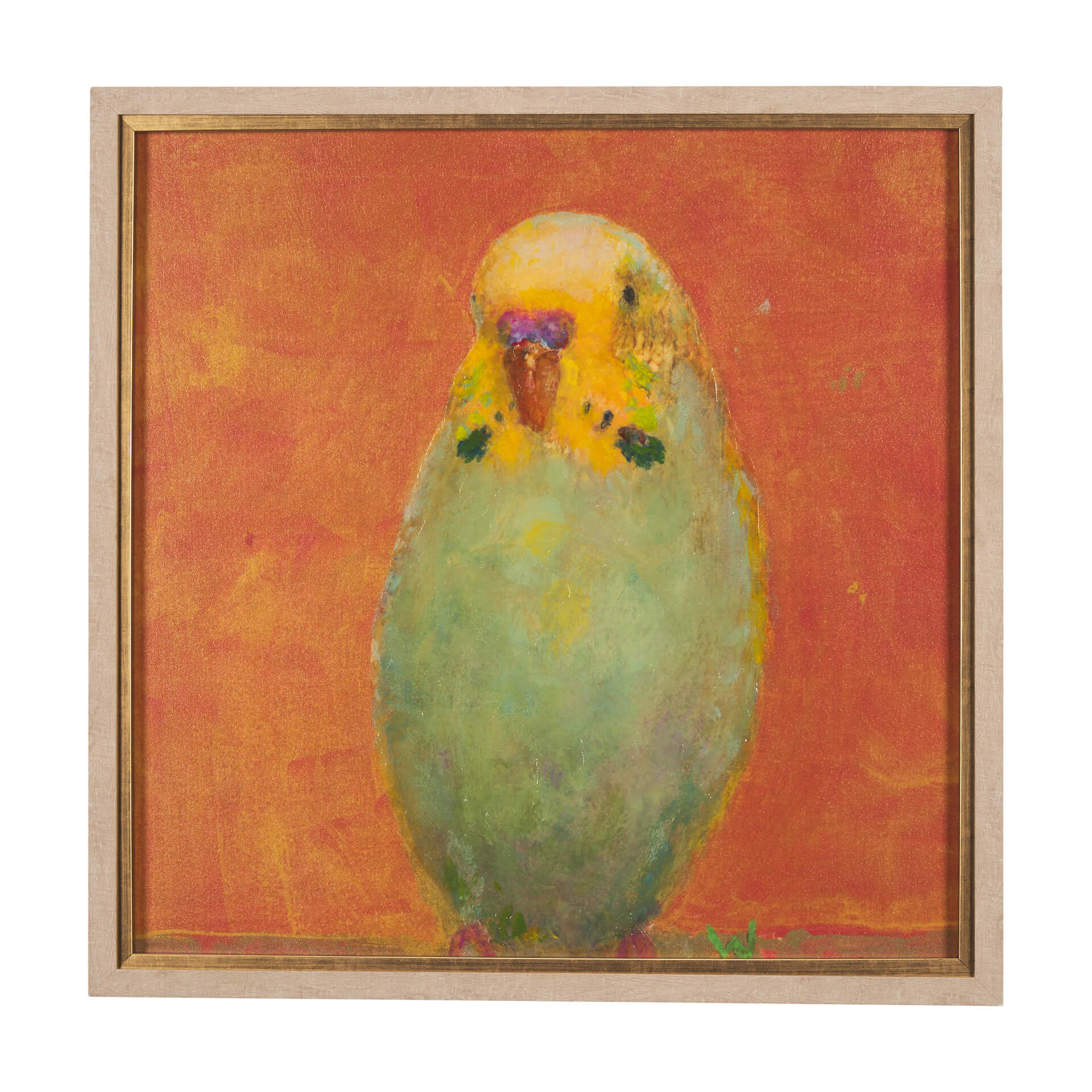 Pop Birds II Framed Wall Art - painting of a parakeet with an orange background