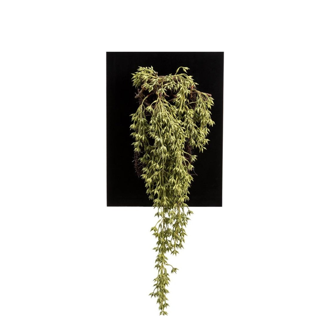 34" Hanging Sedum Wall Piece: Available at City Home PDX