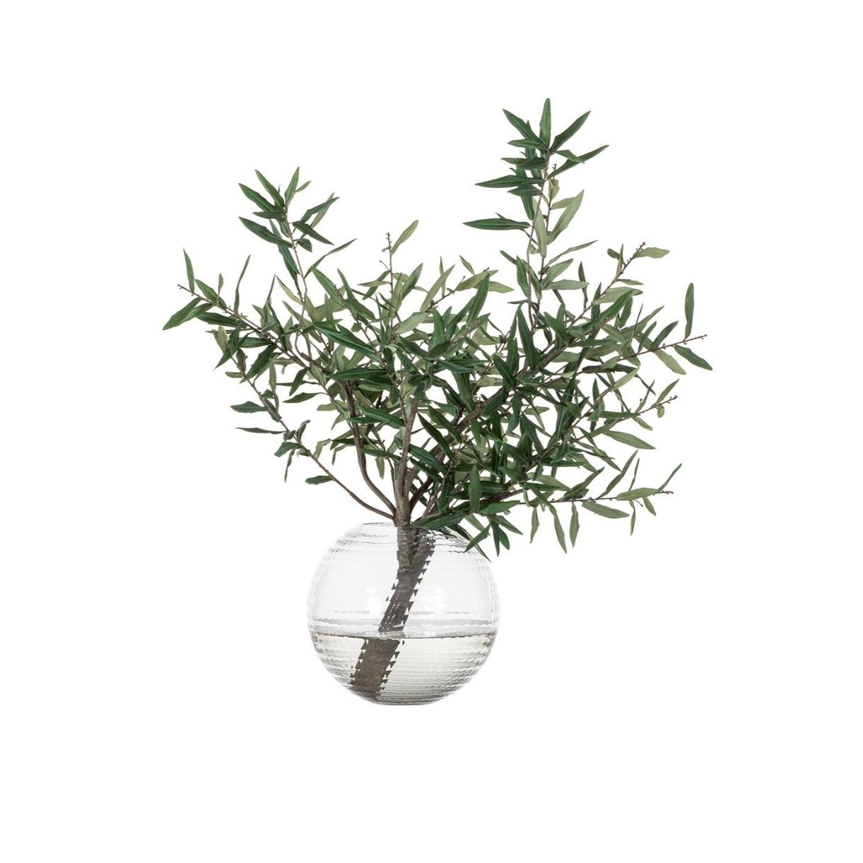 34" Olive Branch: Available at City Home PDX