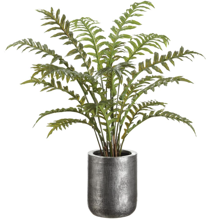 45" Fern in Zinc Planter: Available at City Home PDX