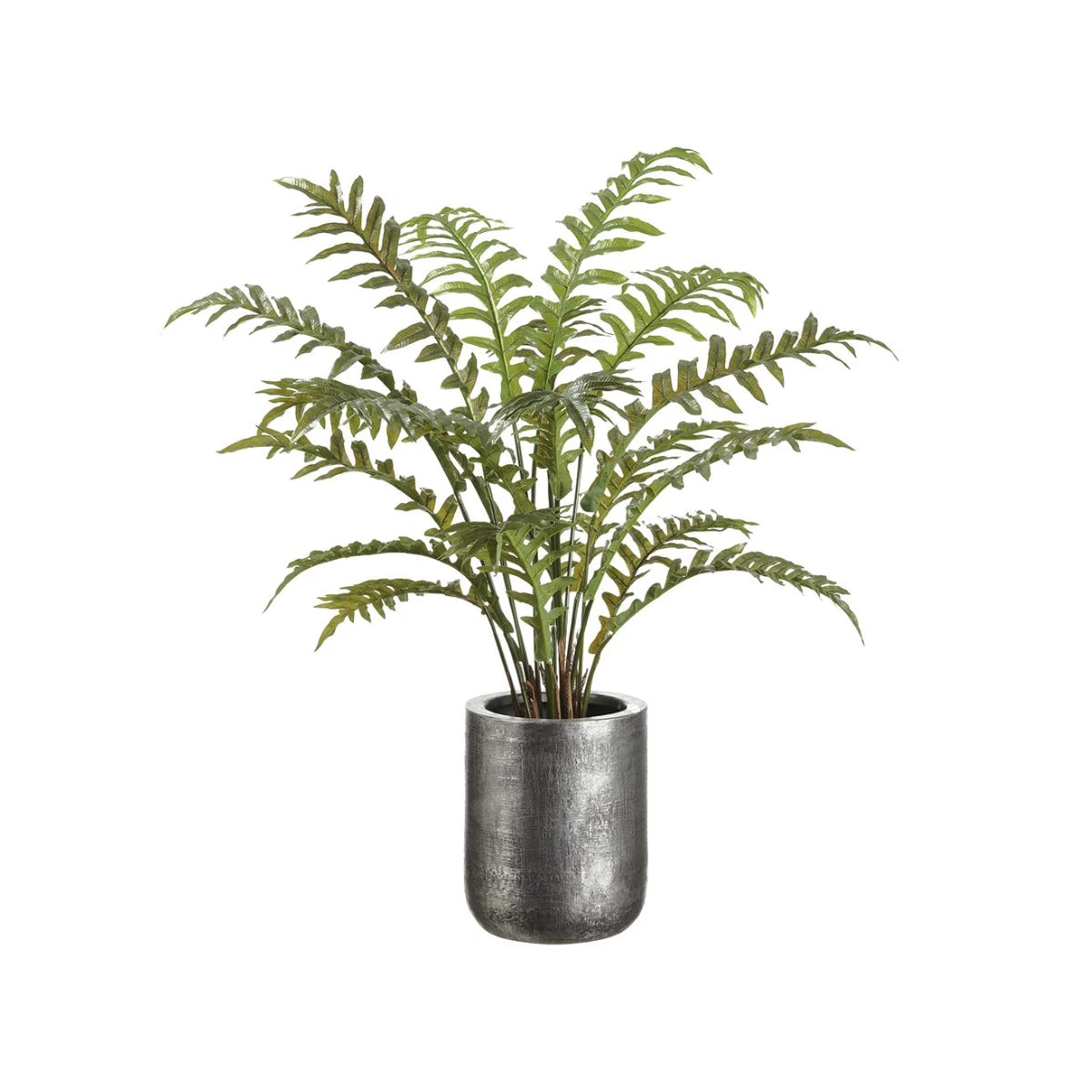 45" Fern in Zinc Planter: Available at City Home PDX