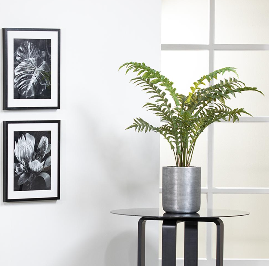 45" Fern in Zinc Planter: Product Style View
