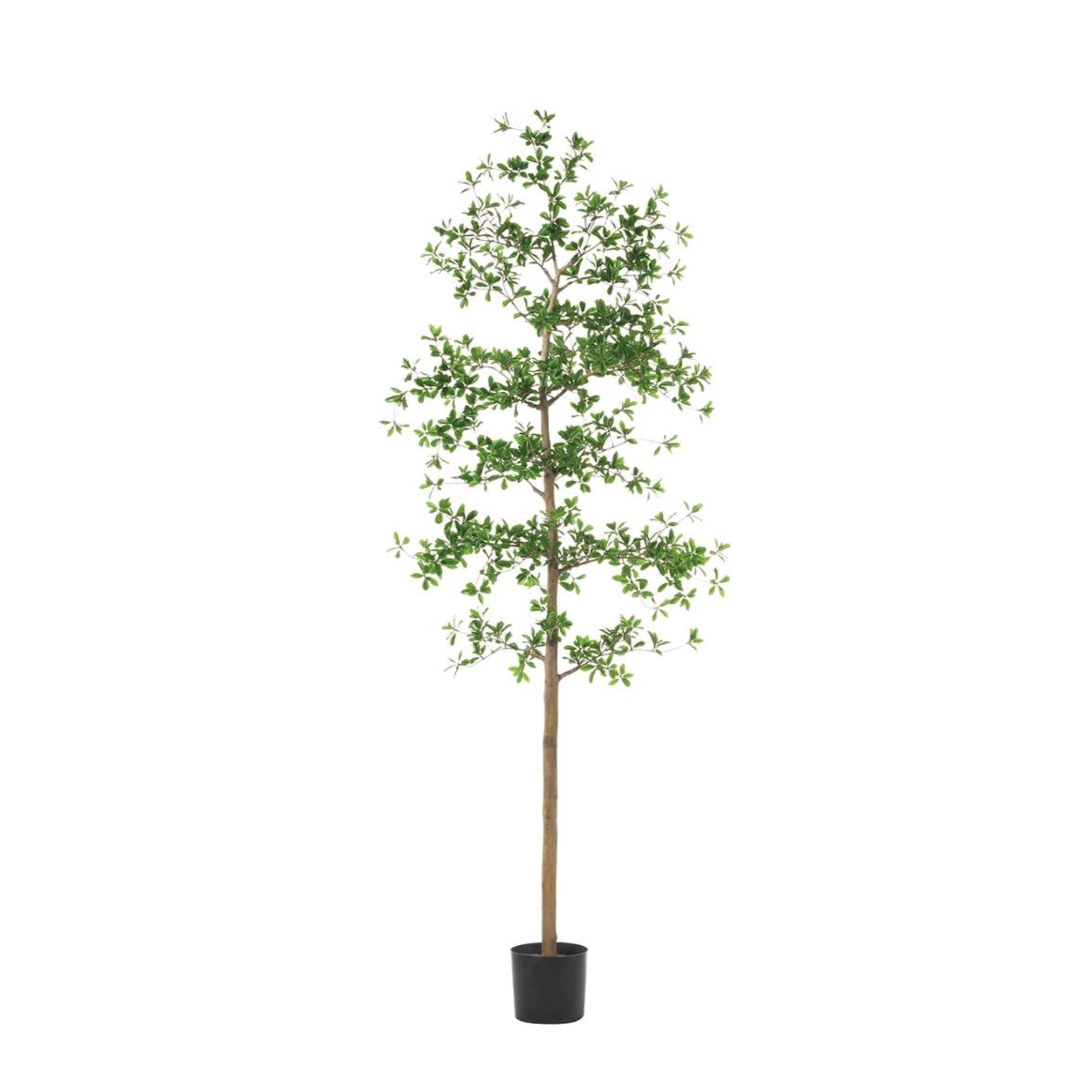 7' Faux Shady Lady Tree in Green: Available at City Home PDX