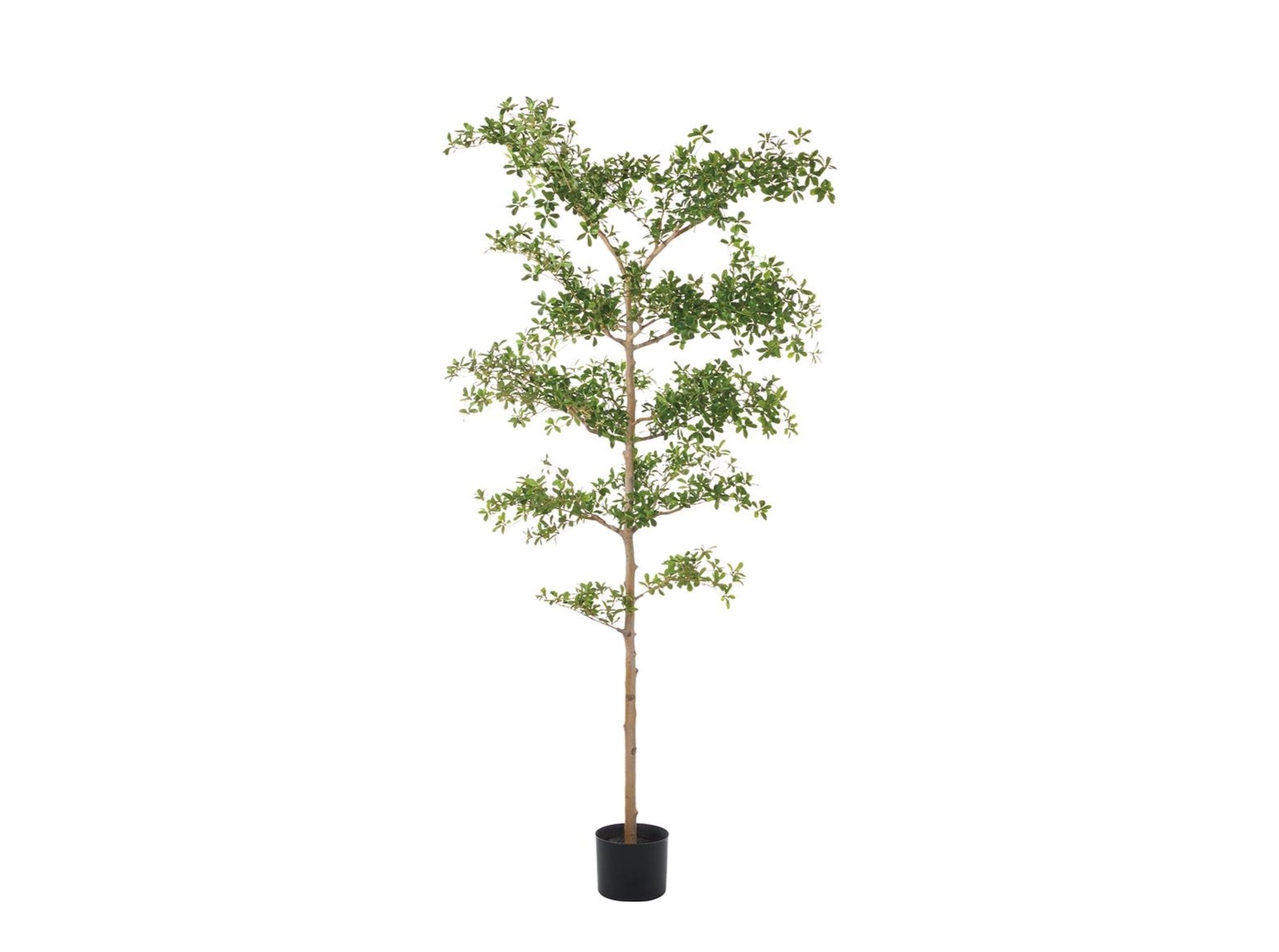 8' Faux Shady Lady Tree in Green: Available at City Home PDX