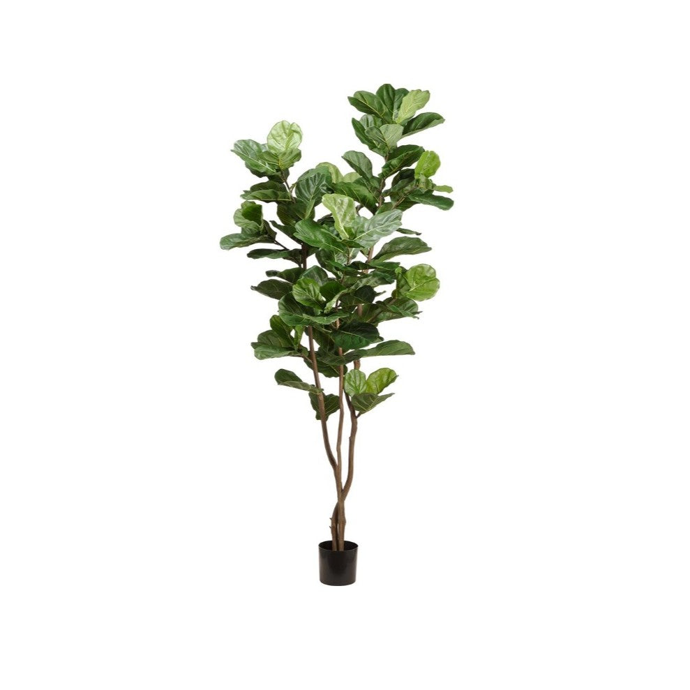 90.5" Fiddle Leaf Tree: Available at City Home PDX