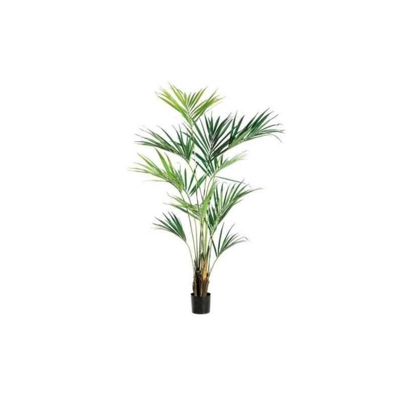 93" Kentia Palm Tree: Available at City Home PDX