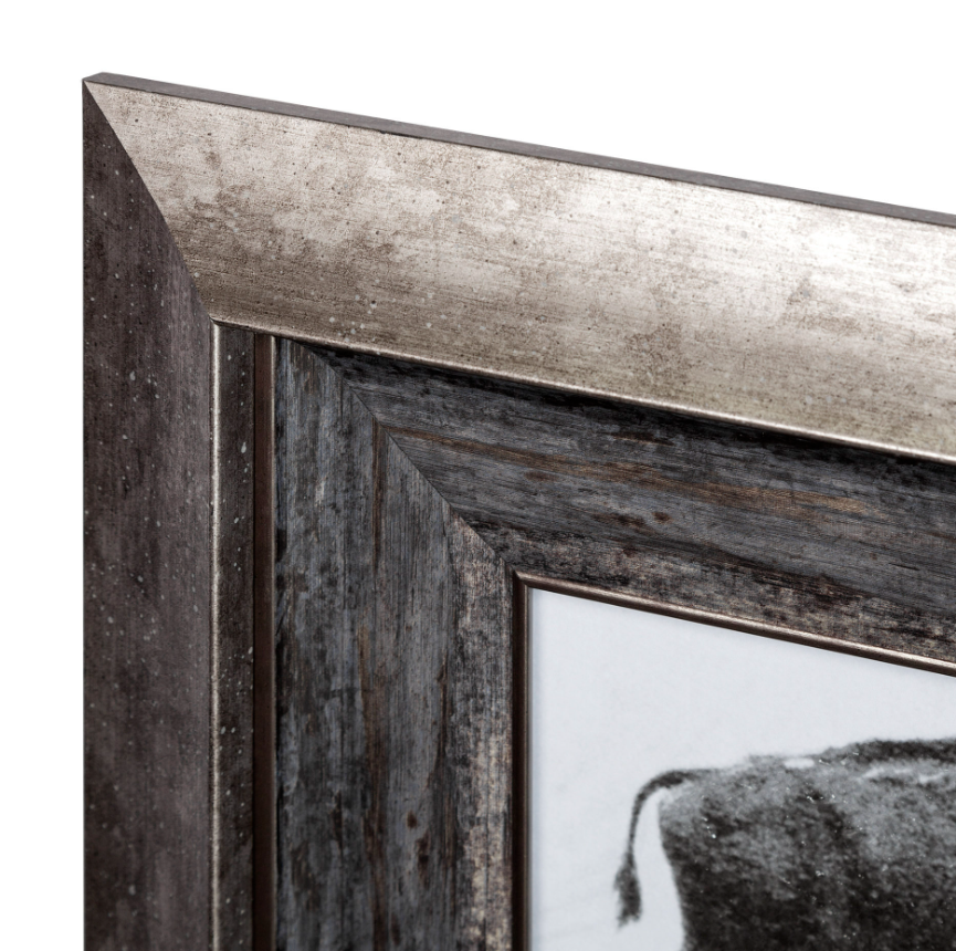 Animal Negatives Framed Artwork: Product Top Corner View