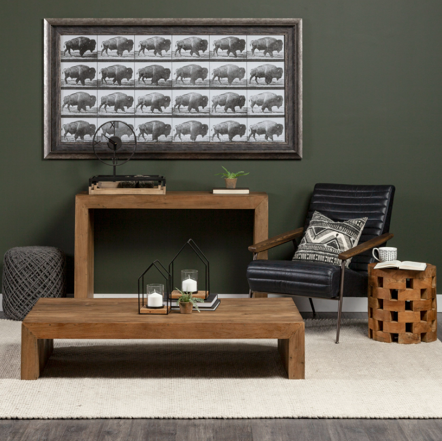 Animal Negatives Framed Artwork: Product Style View