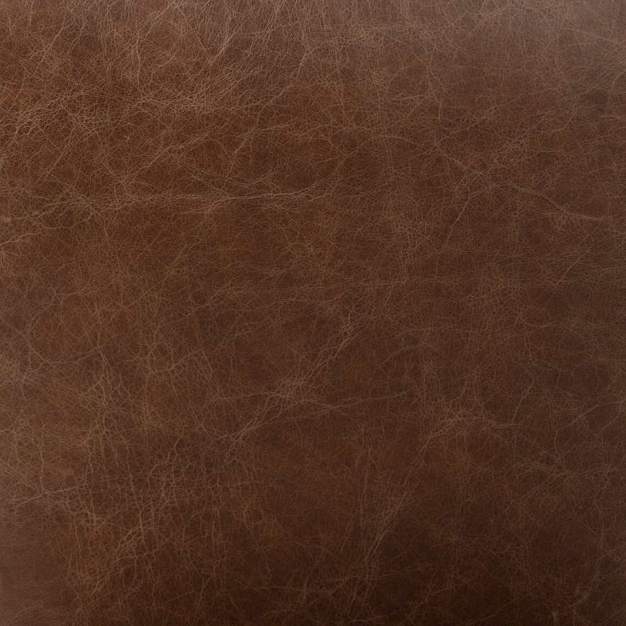 Anton Dining Chair-Havana Brown: Top-Grain Leather Finish View
