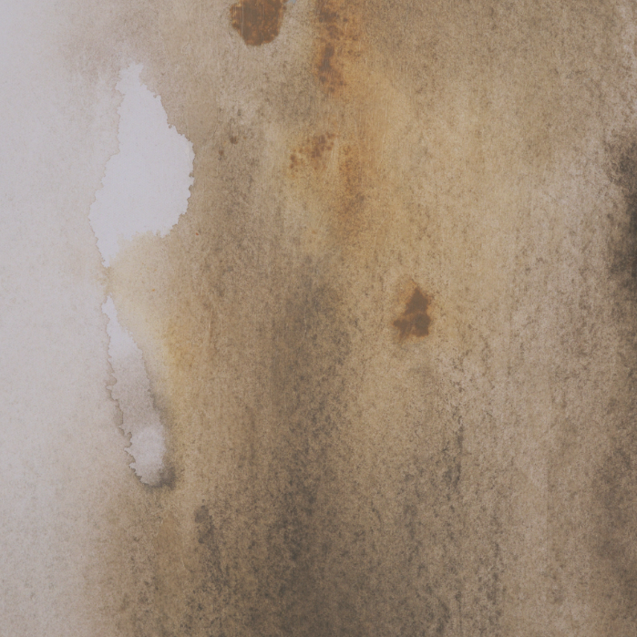 Awakening Wall Art: 2nd Up-Close Print View