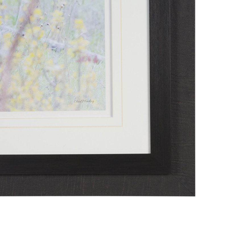 A Watchful Bond Wall Art: Product Frame View