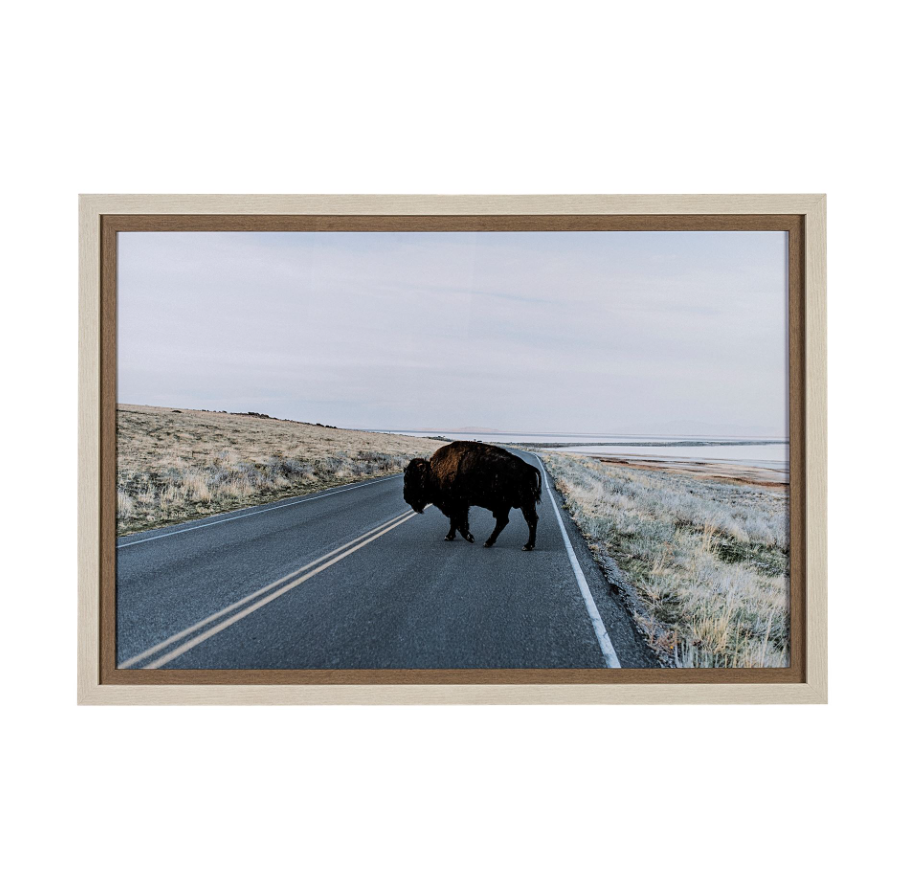 Bison Crossing Art Print: Available at City Home PDX