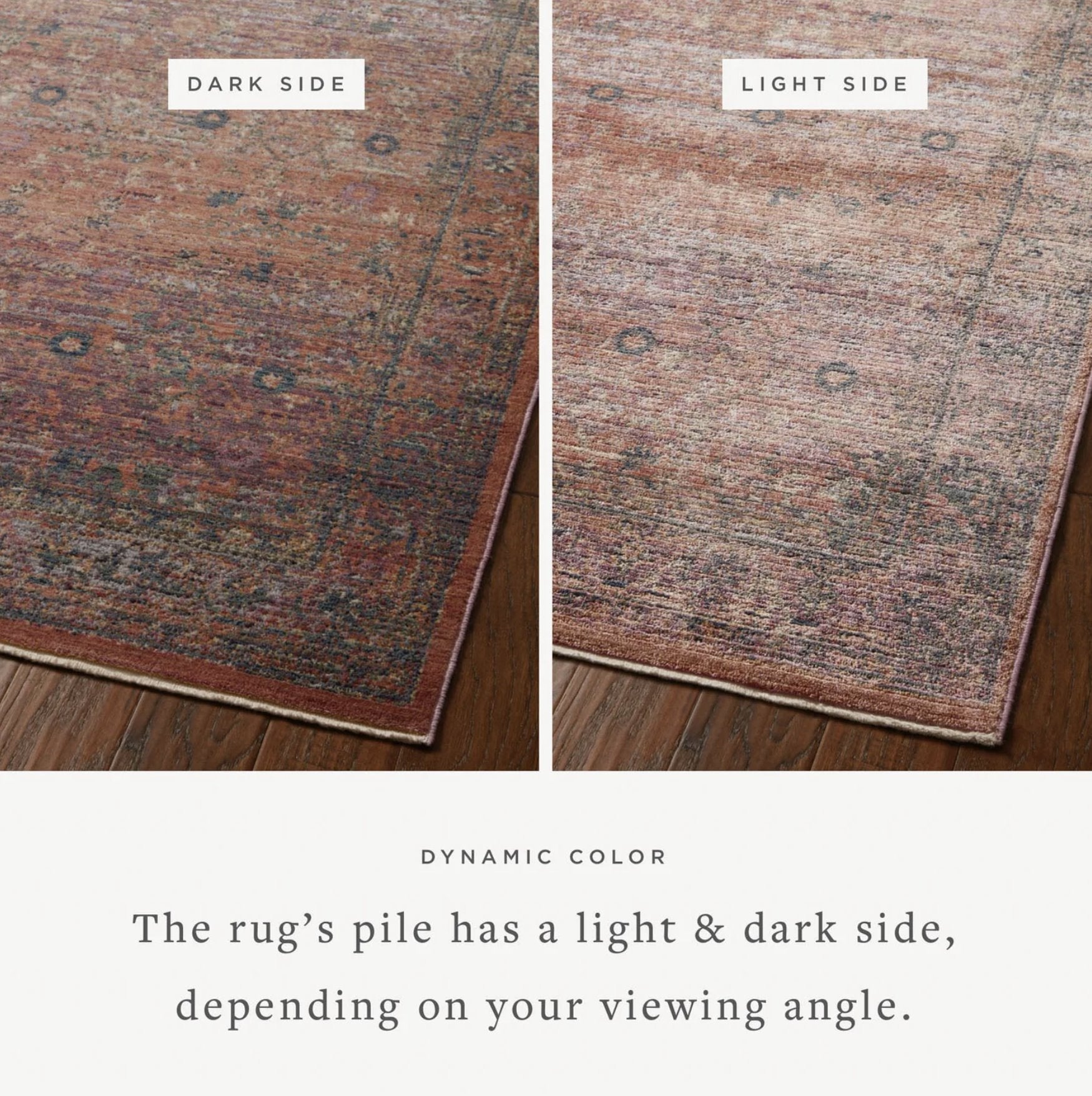 Jean Stoffer x Loloi Bradbury Rug in Sunset/Multi: Changing Pile View