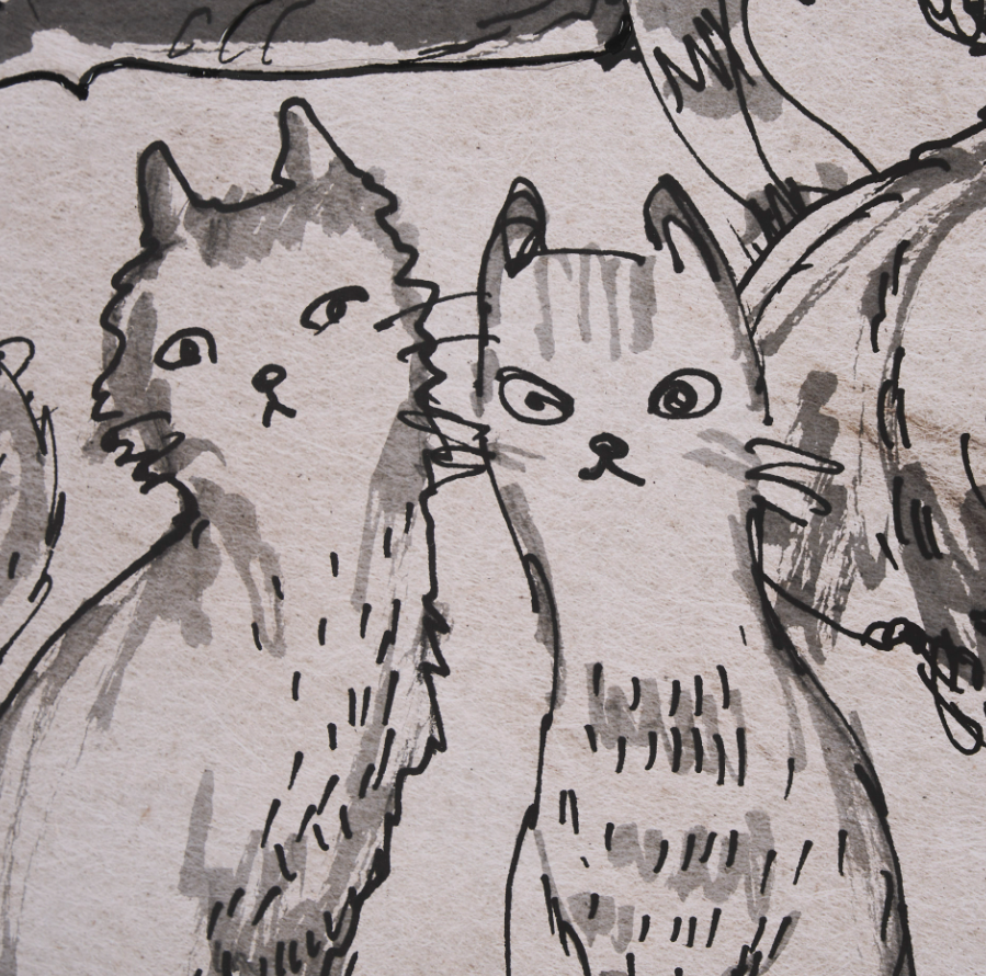 Cat Sketch Art Print: Up-Close Print View