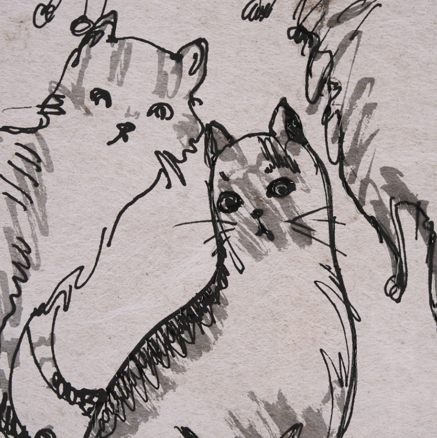 Cat Sketch Art Print: 2nd Up-Close Print View