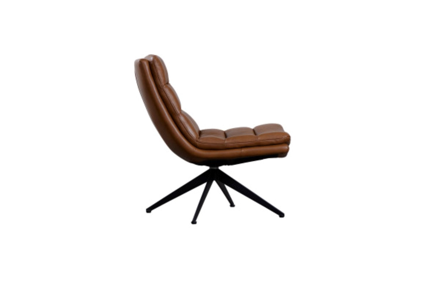 Cetus Leather Accent Chair: Product Side View