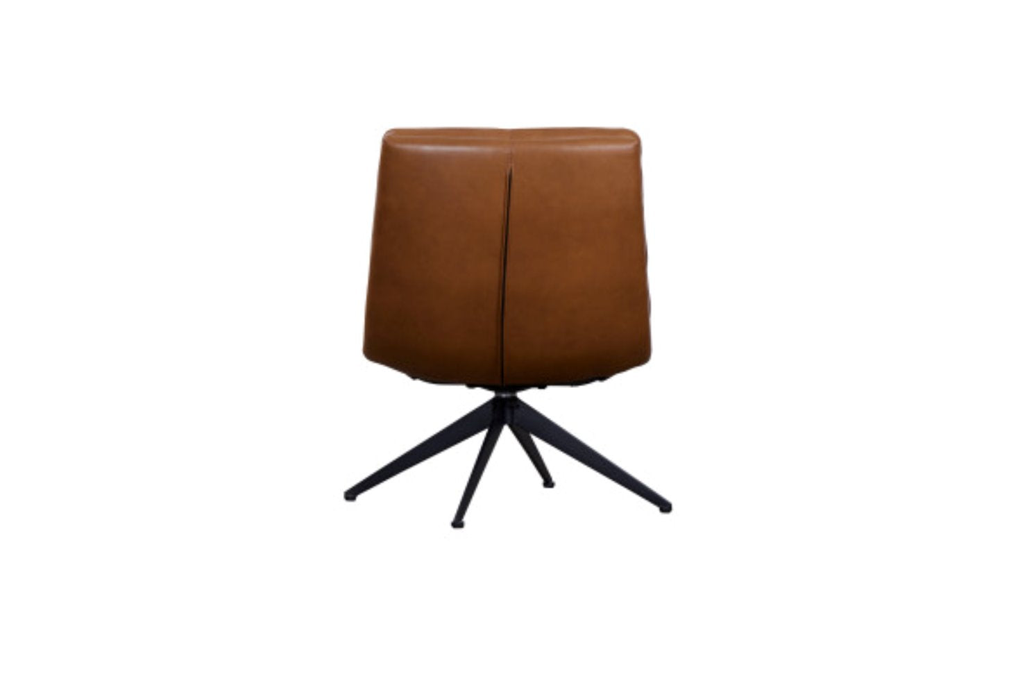 Cetus Leather Accent Chair: Product Back View