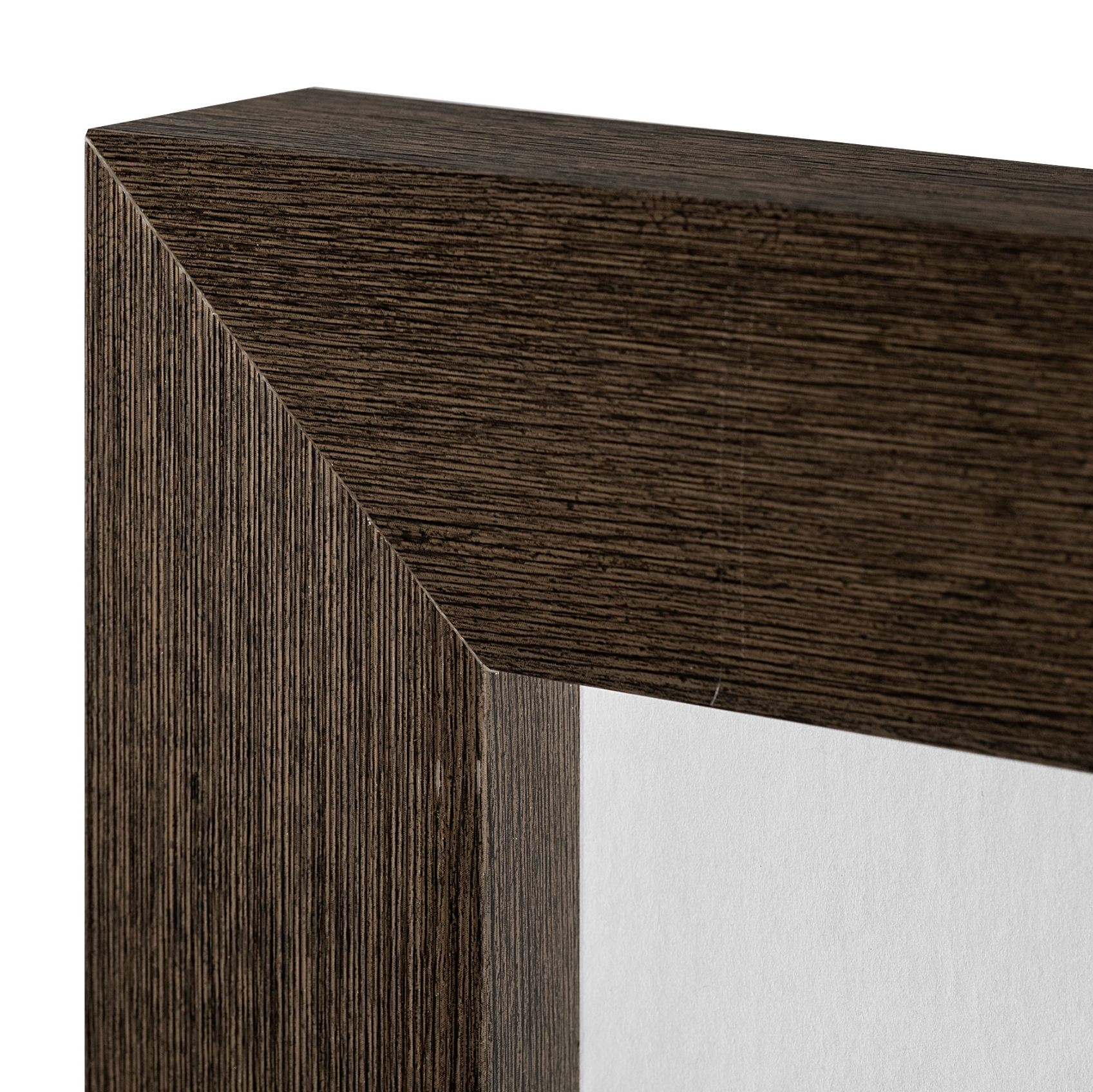 Curious Cub Framed Art Print: Framed Corner View