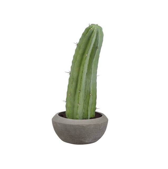 19" Column Cactus in Cement Pot: Available at City Home PDX