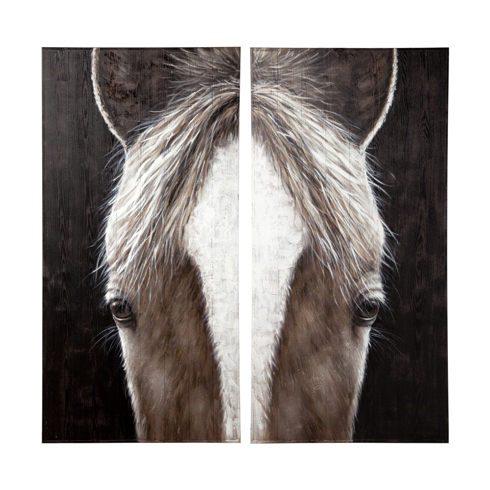 Equus Diptych Framed Art: Available at City Home PDX