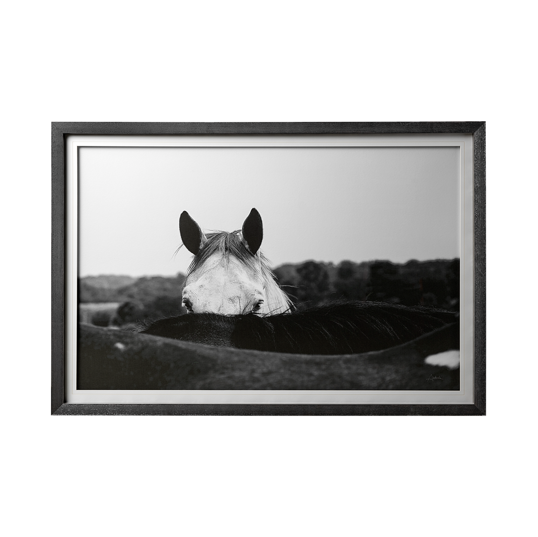 Flirt Framed Art Print: Available at City Home PDX