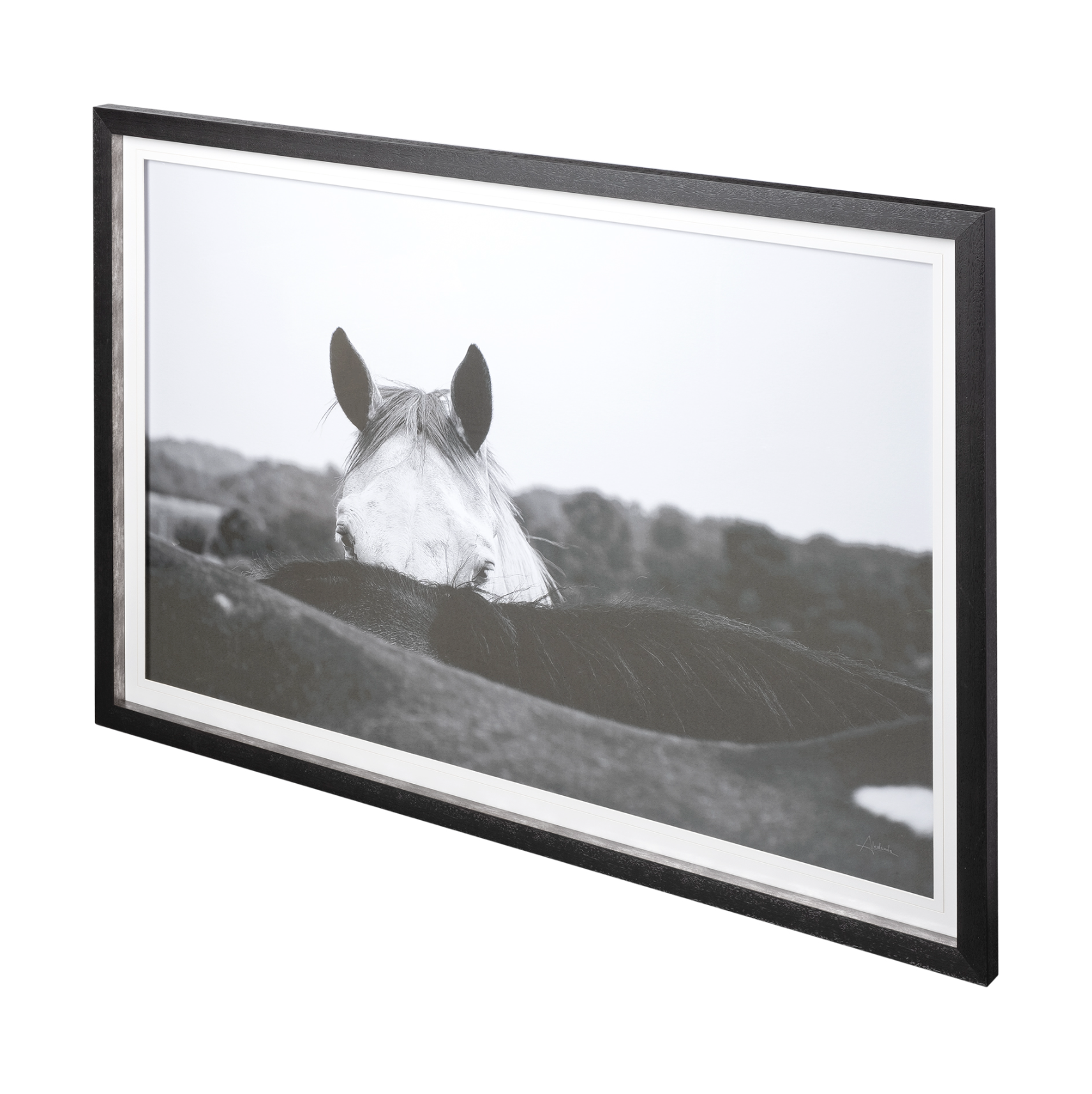 Flirt Framed Art Print: Product View