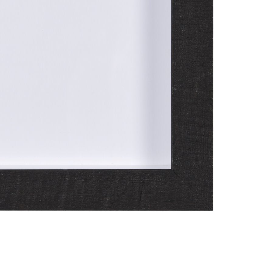 Forest View 1: 2nd Frame View