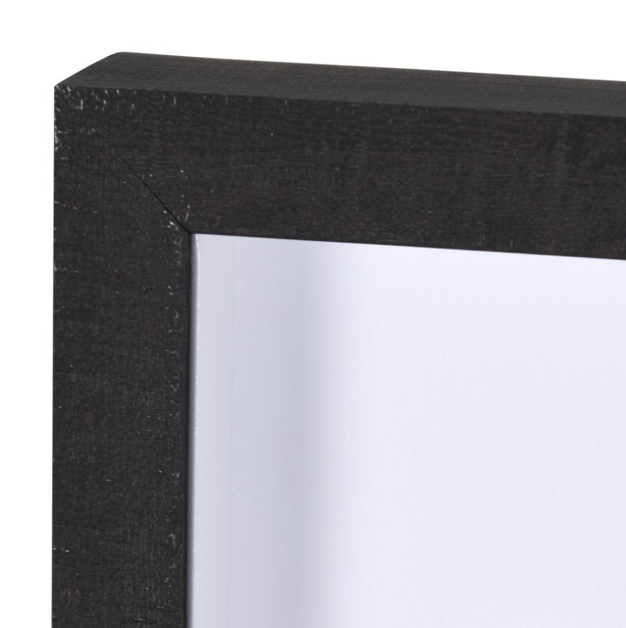 Forest View 1: Frame View