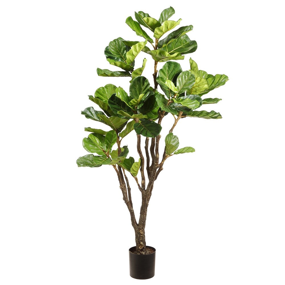 fiddle leaf fig faux plant 6' Silk Fiddle Leaf Fig Plant w/Plastic Pot -Green