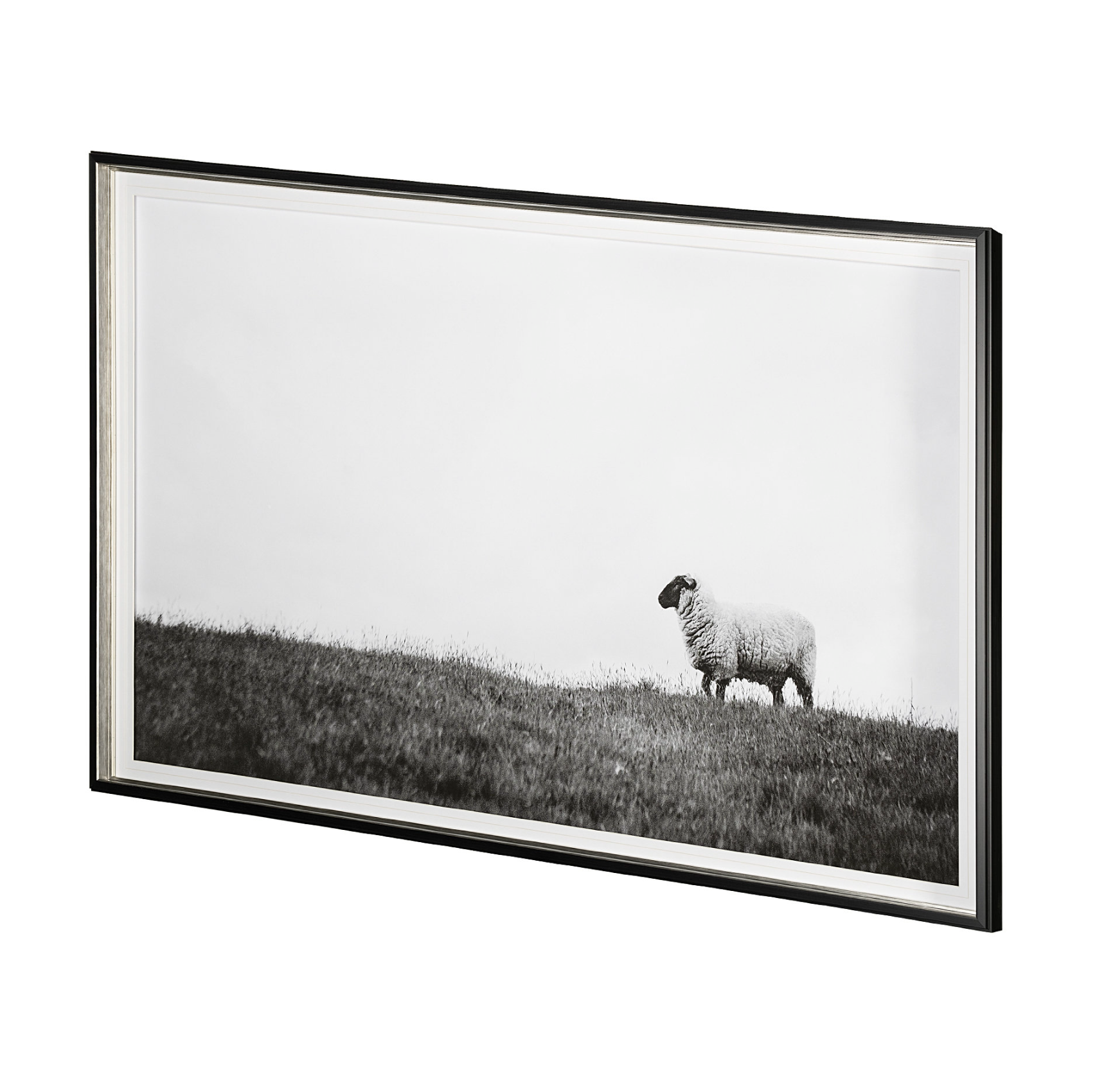 Lady Sheep II: Product View