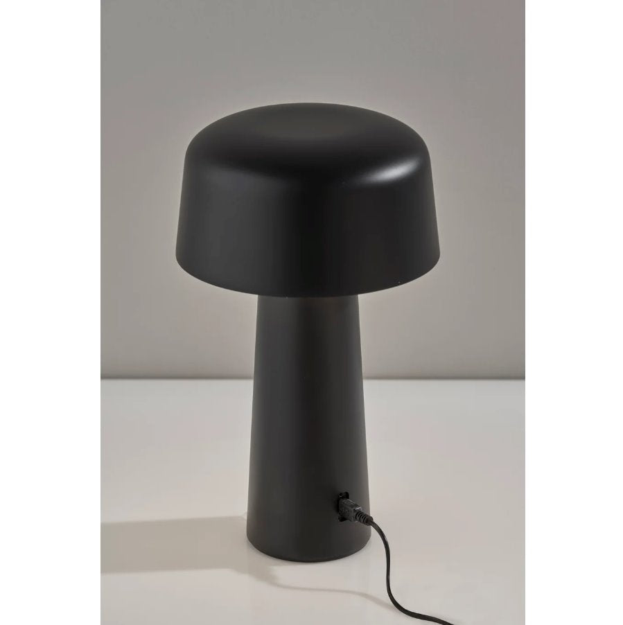 Lenny Cordless LED Table Lamp in Black: USB cord Product View