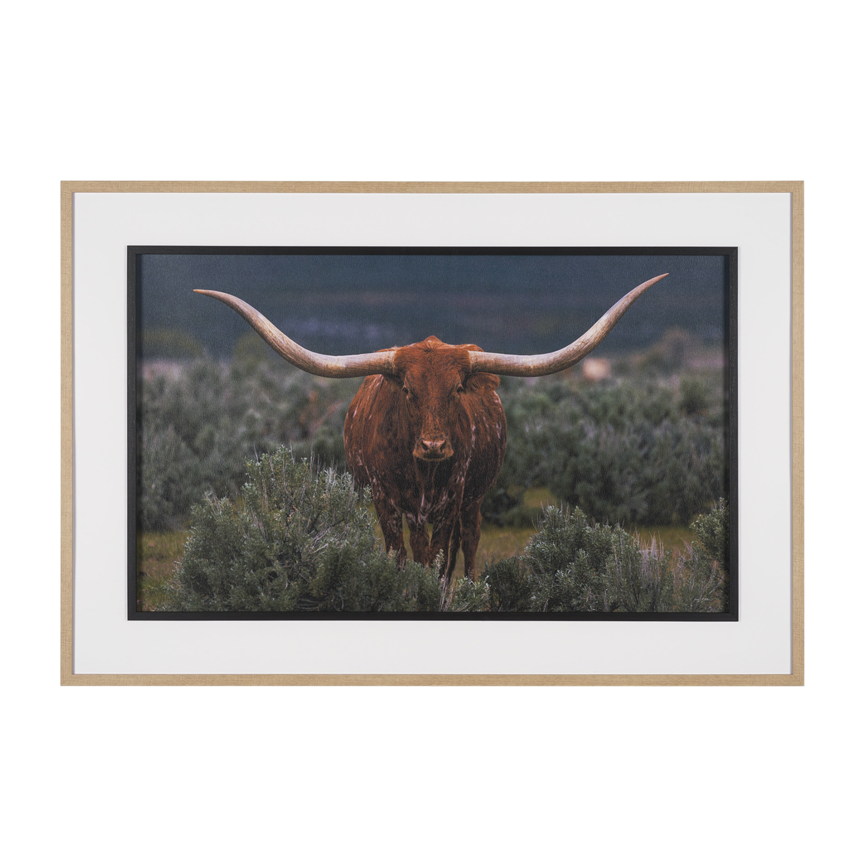 Longhorn 5 Wall Art: Available at City Home PDX