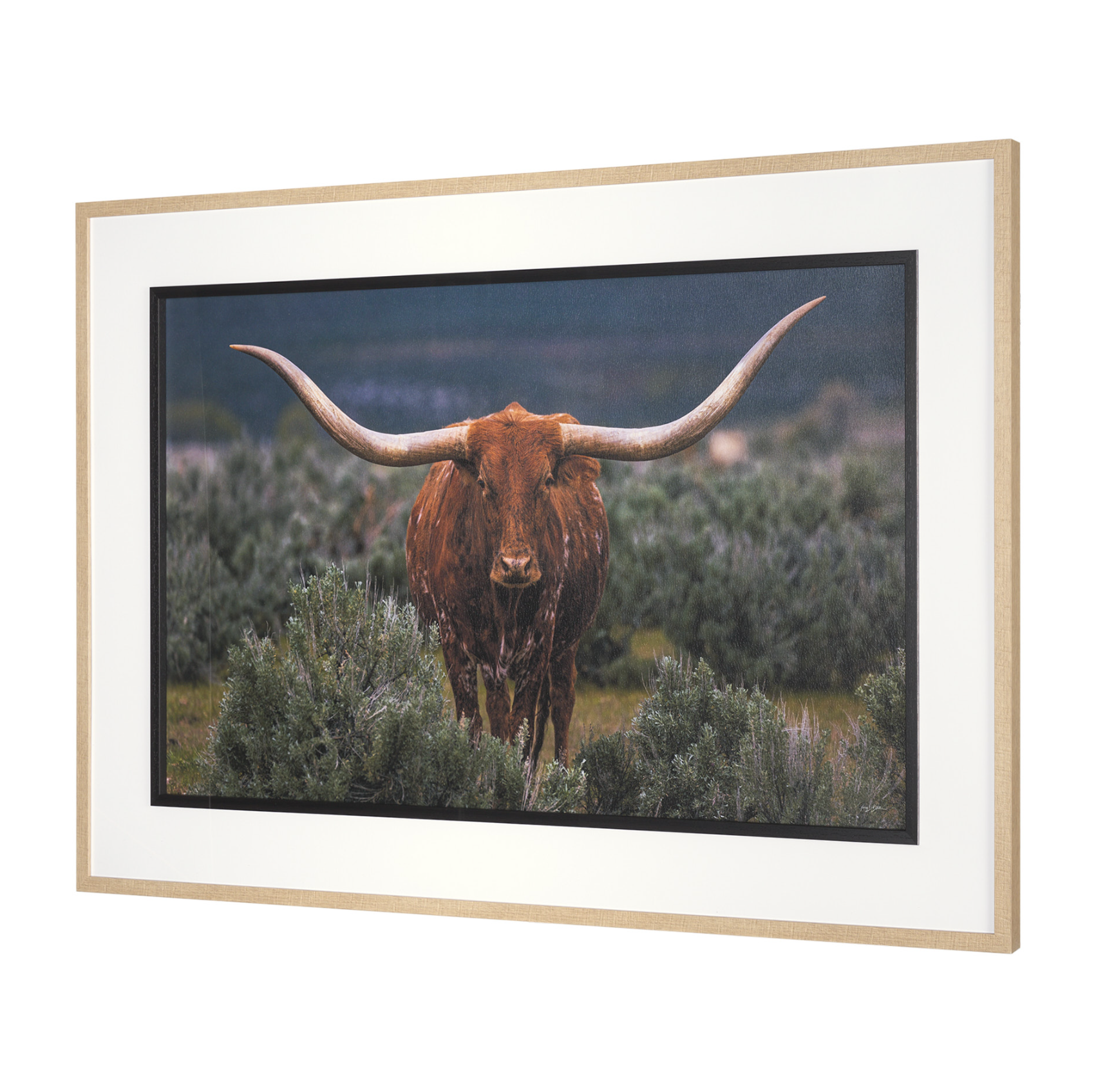 Longhorn 5 Wall Art: Product View