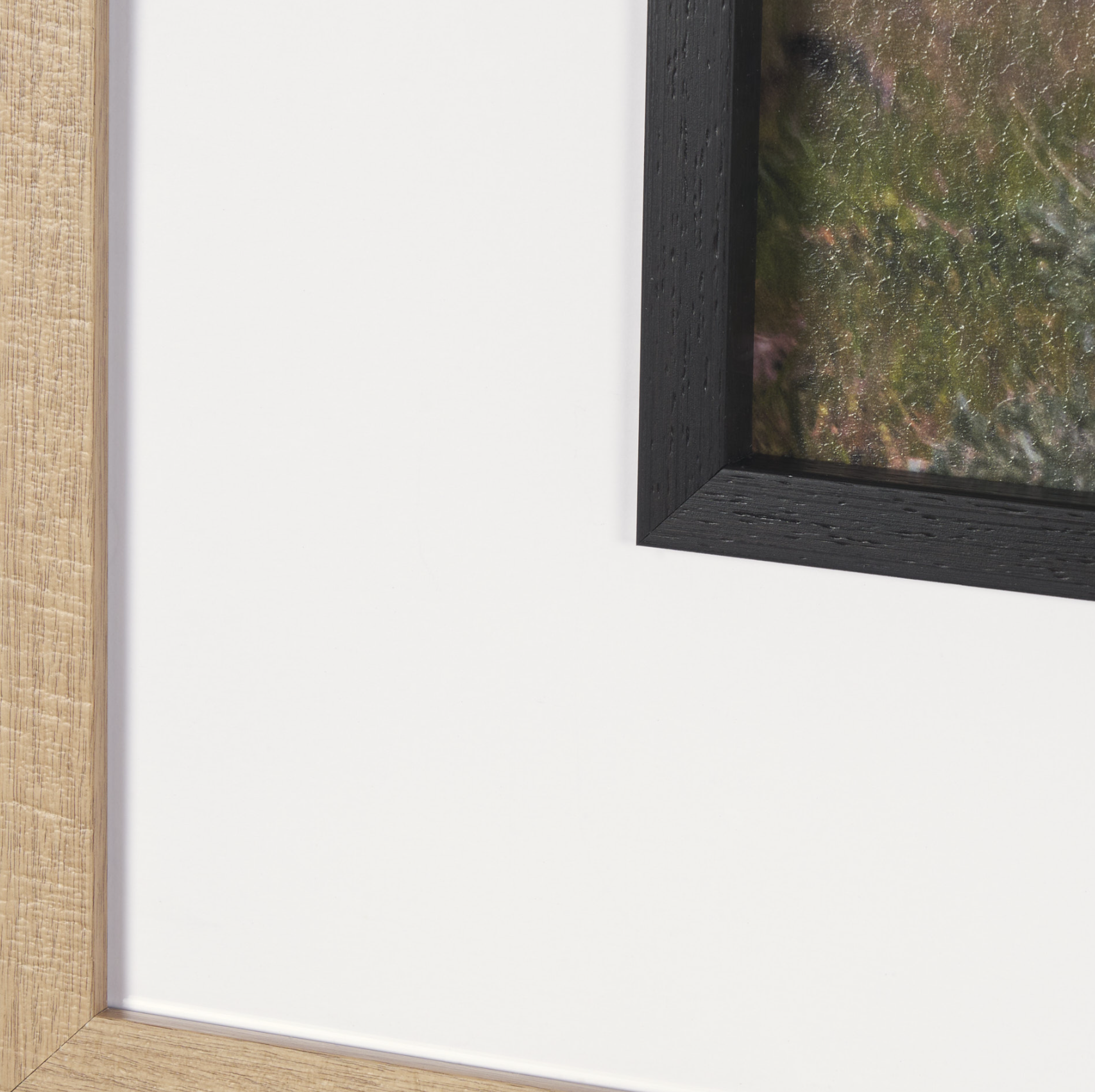 Longhorn 5 Wall Art: Up-Close Product View