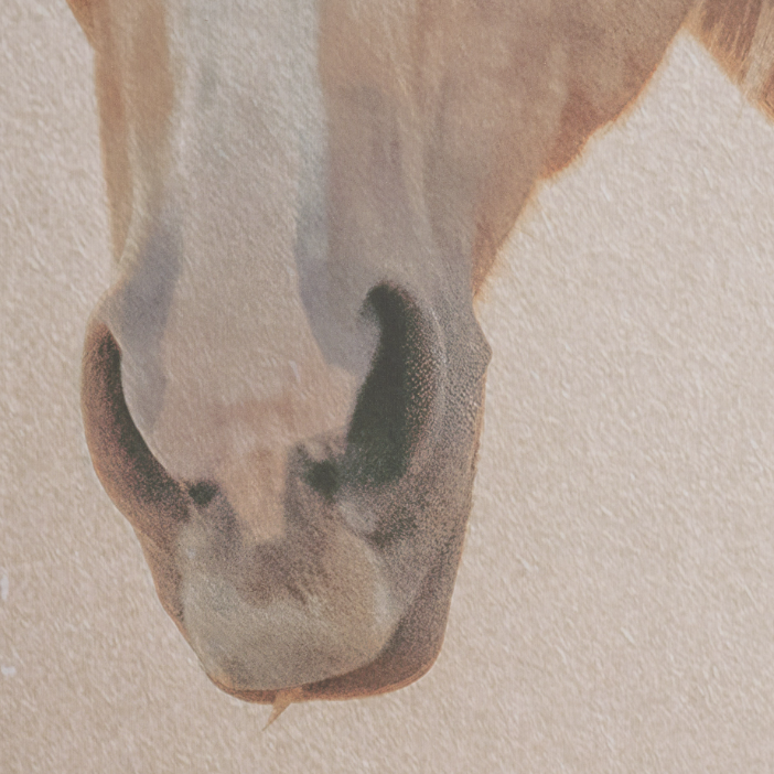 Looking Back Wall Art: Up-Close Artwork View