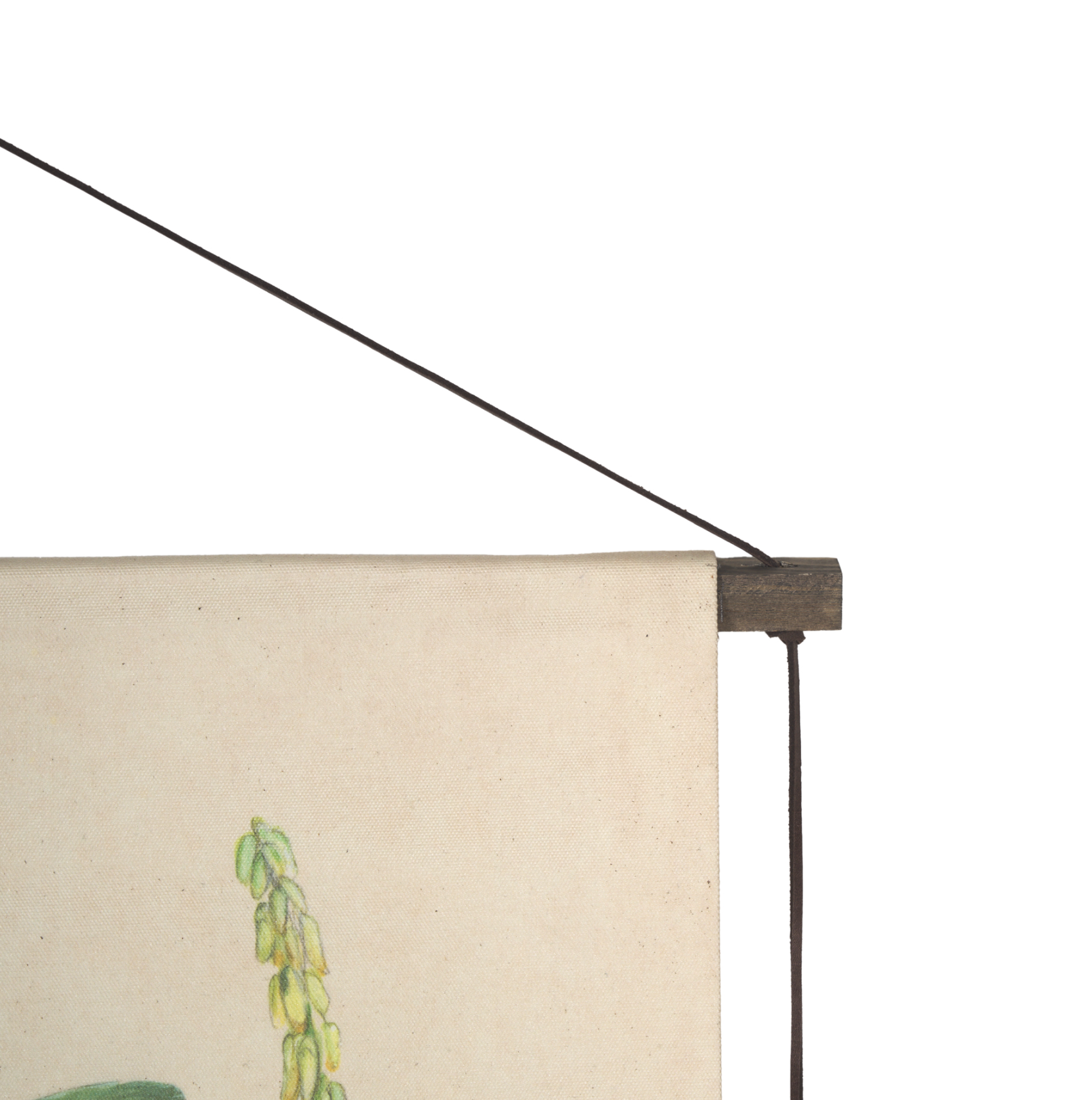 Botanical Study Wall Hanging: Product Corner View