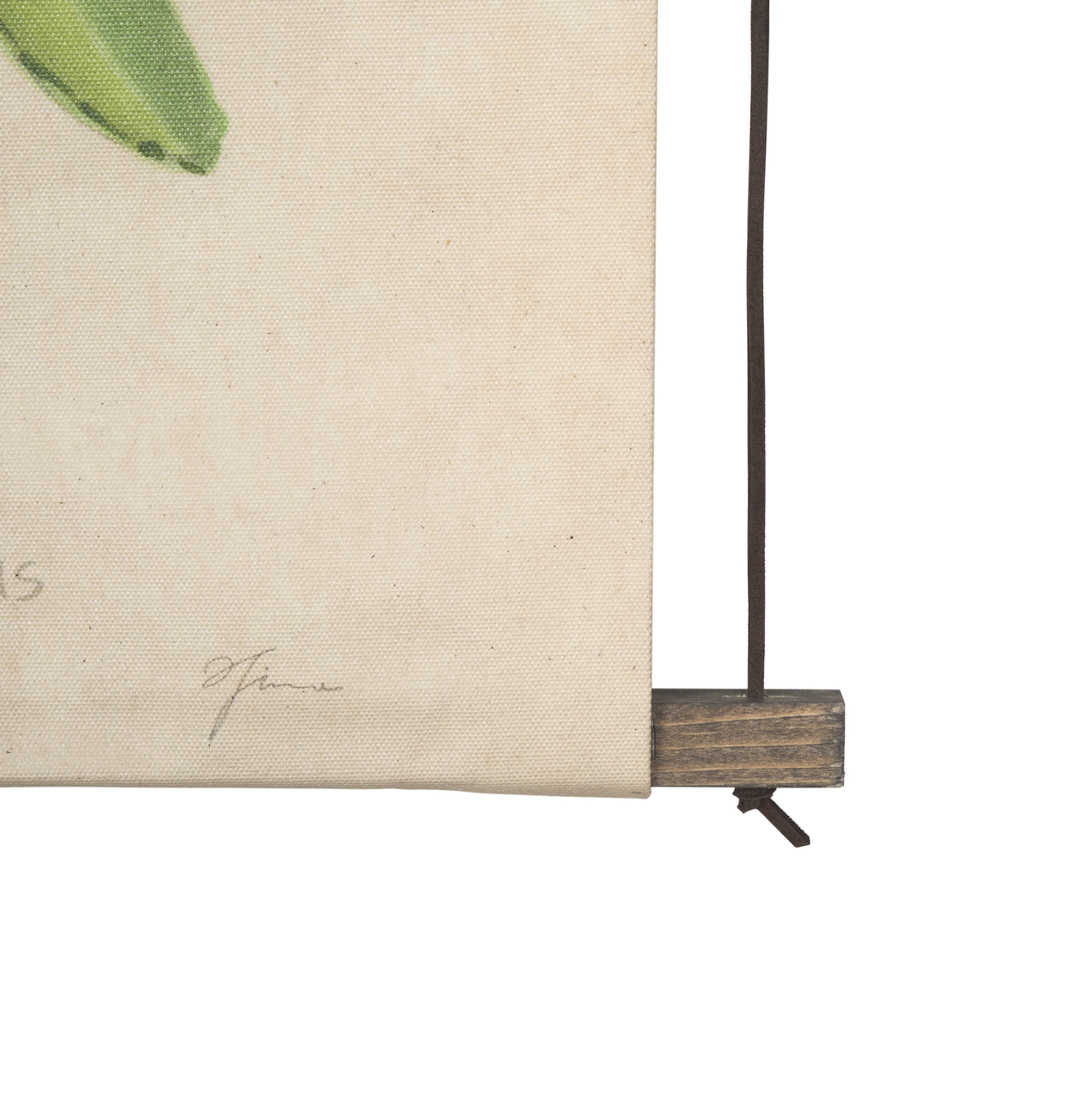 Botanical Study Wall Hanging: 2nd Product Corner View