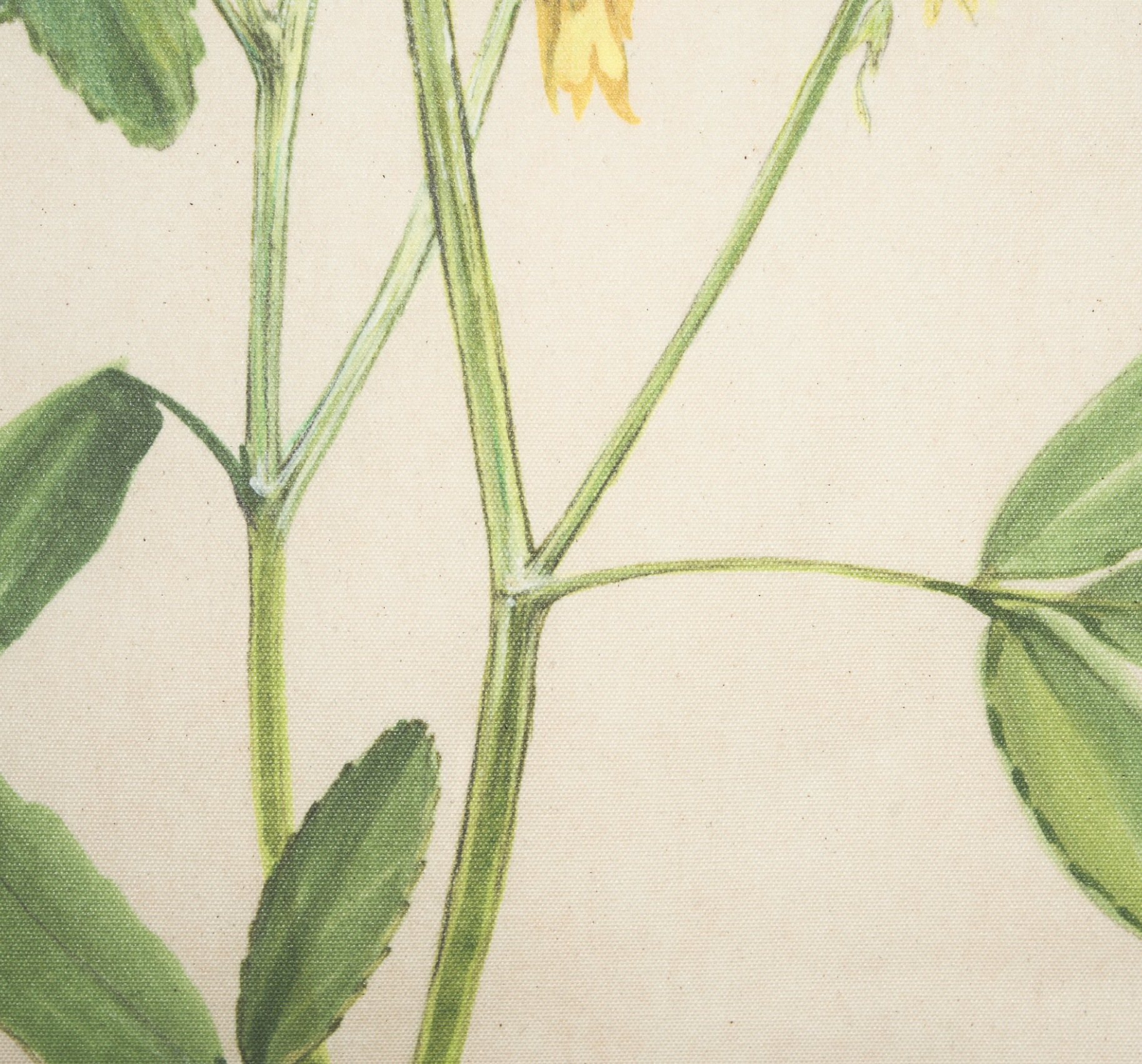 Botanical Study Wall Hanging: 2nd Up-Close Art View