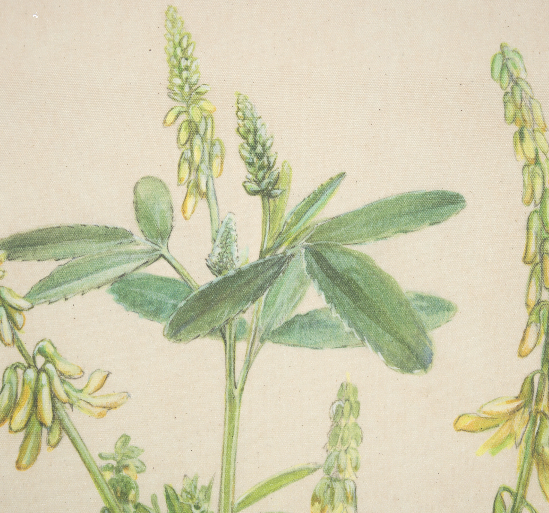 Botanical Study Wall Hanging: Up-Close Art View