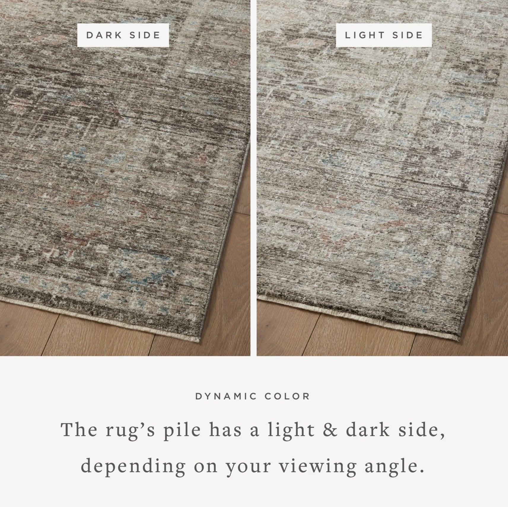 Magnolia Home by Joanna Gaines × Loloi Millie Rug in Charcoal/Dove: Product Information View