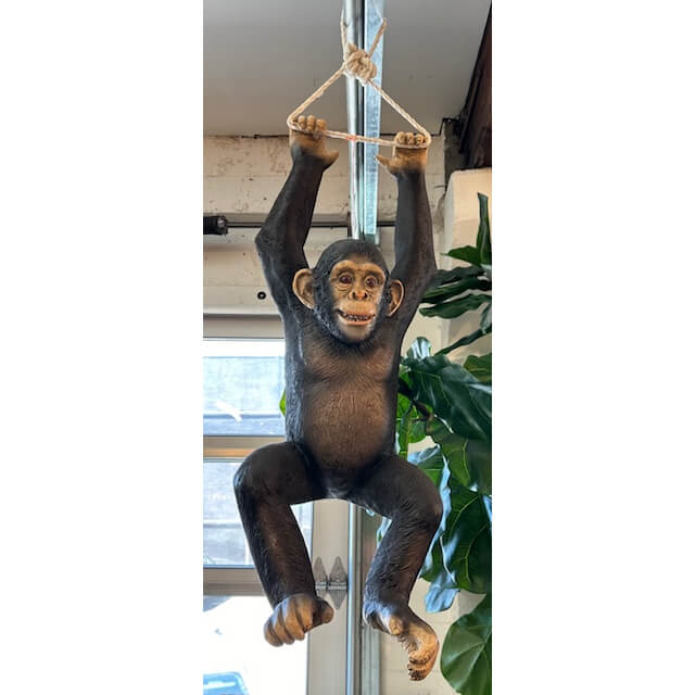 Hanging Monkey Jungle Jimmy - shop unique decor at the City Home Outlet