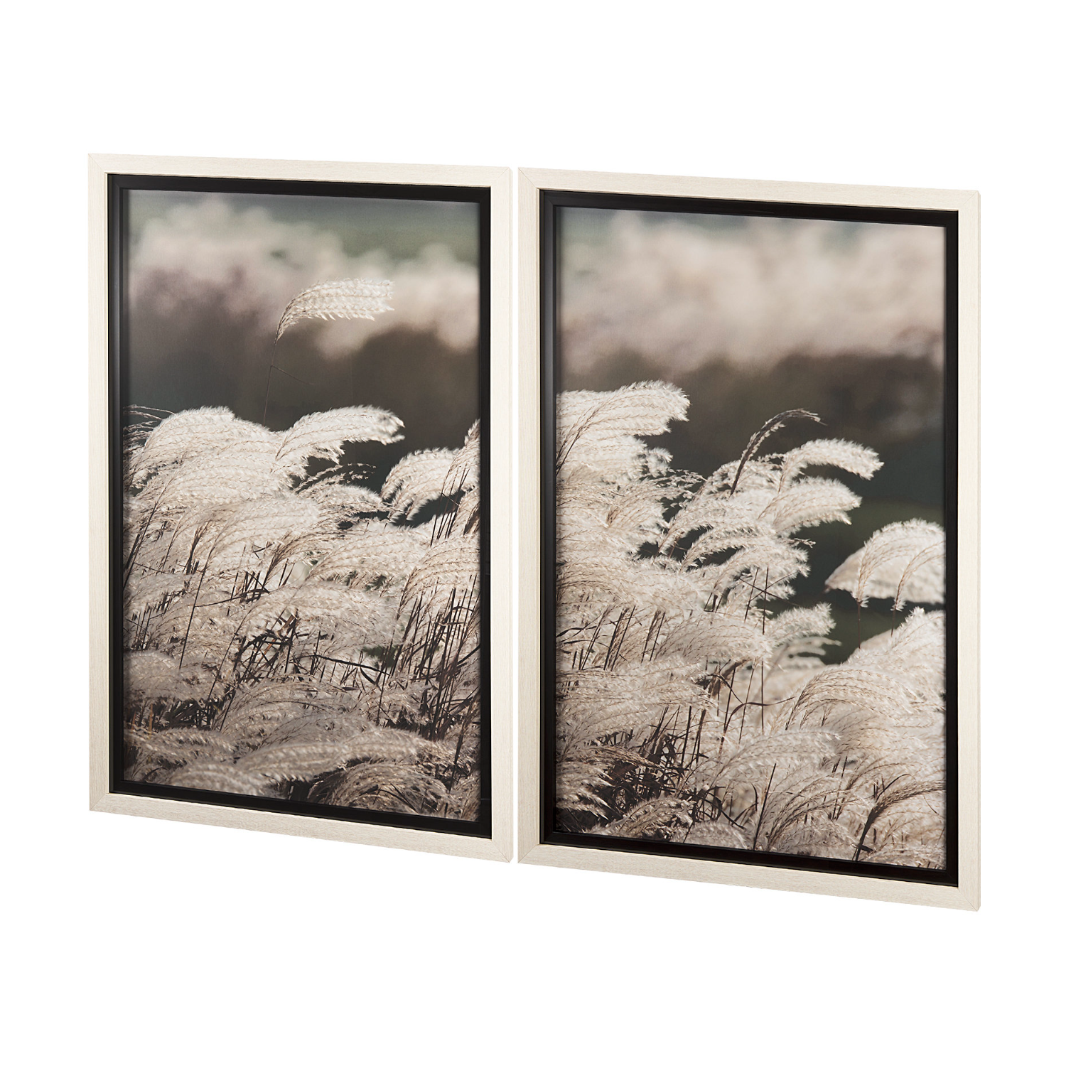 Nature's Melody Set of 2 Wall Art: Product View